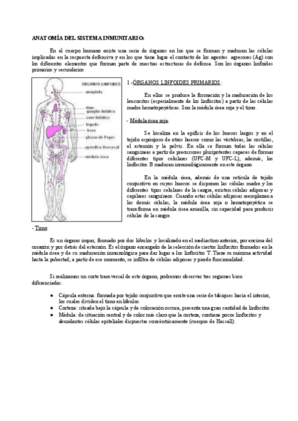 Miniatura del documento Anatomia-del-sistema-inmune.pdf