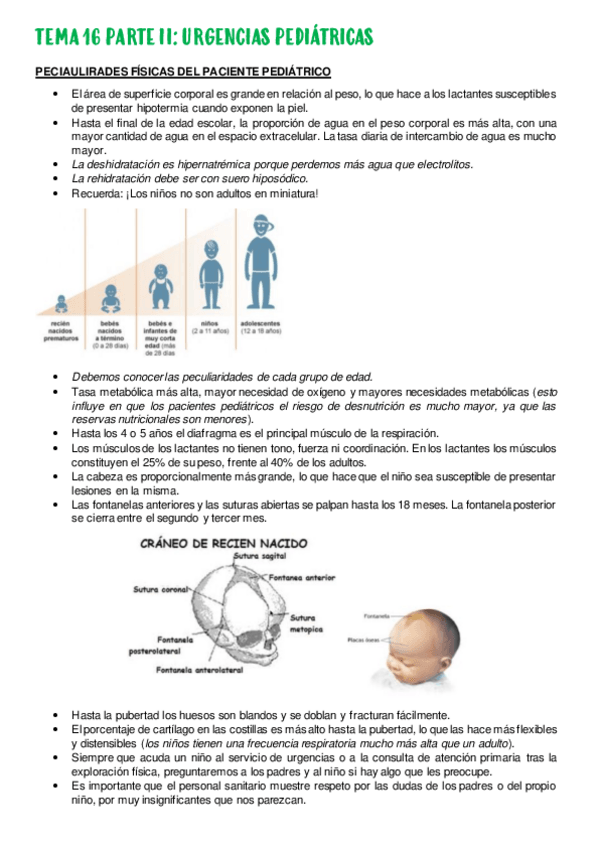 Miniatura del documento TEMA-16.pdf