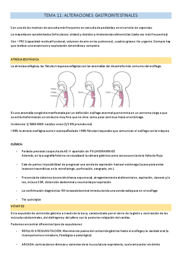 Miniatura del documento TEMA-11.pdf