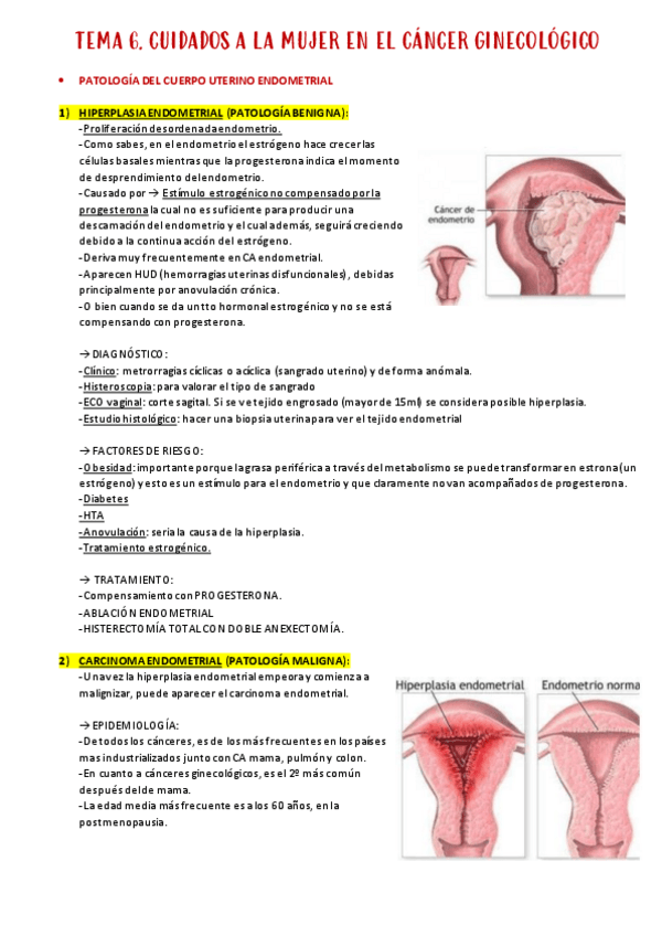 Miniatura del documento TEMA-6.pdf