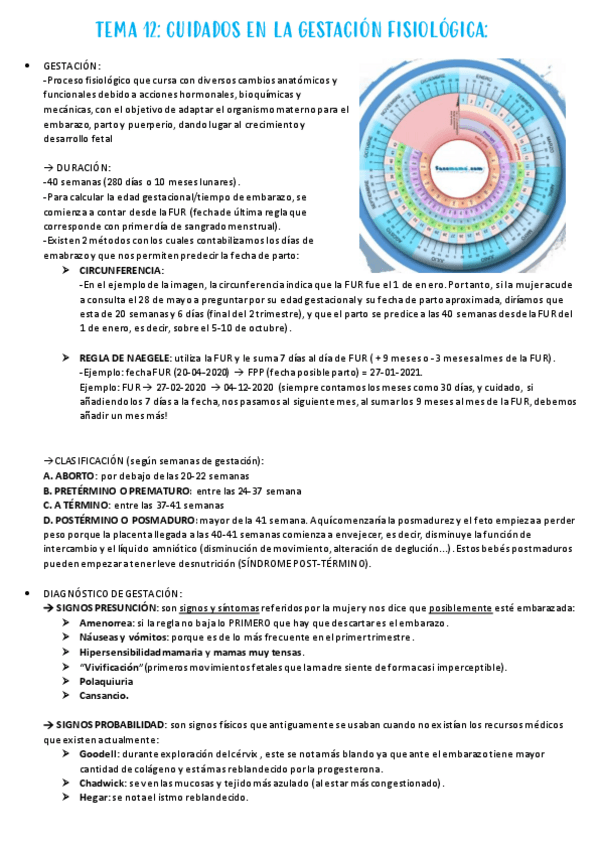Miniatura del documento TEMA-12.pdf