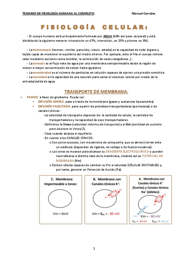 Miniatura del documento TEMARIO-COMPLETO-DE-FISIOLOGIA-HUMANA-EN-UN-PDF.pdf