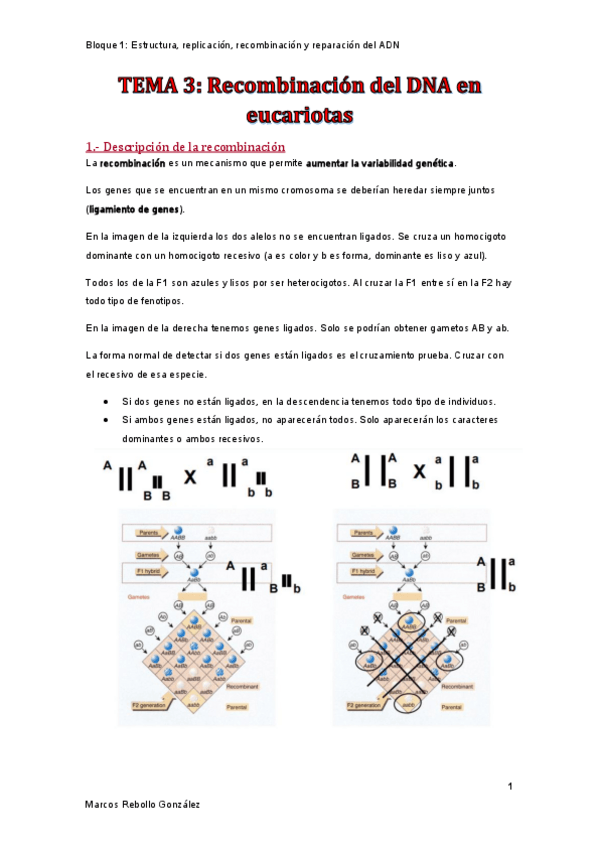 Miniatura del documento TEMA-3.pdf