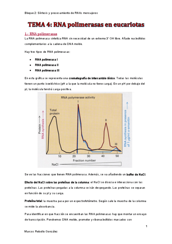 Miniatura del documento TEMA-4.pdf