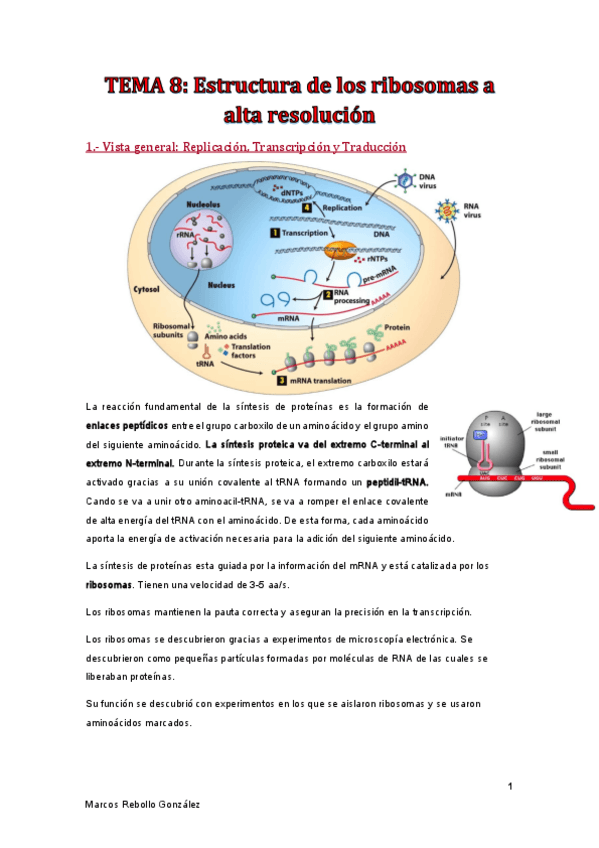 Miniatura del documento TEMA-8.pdf
