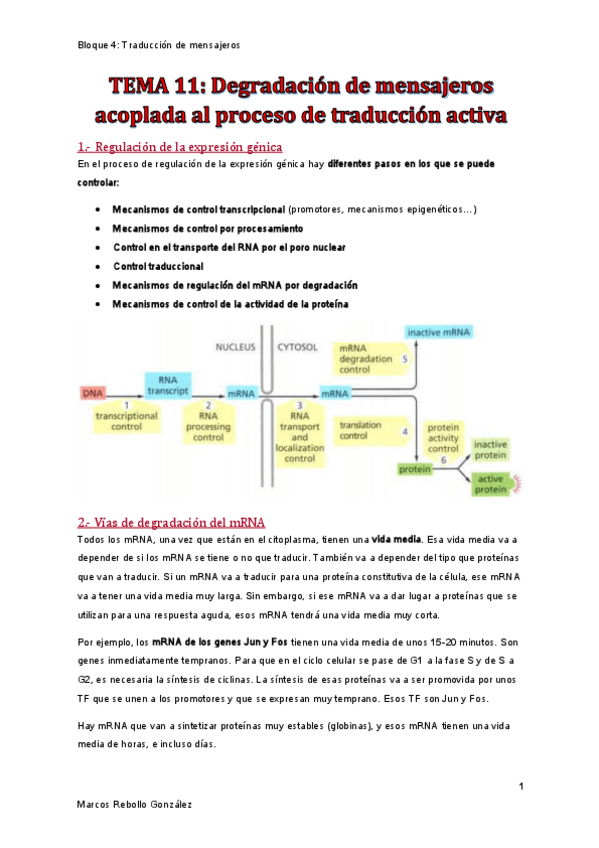 Miniatura del documento TEMA-11.pdf