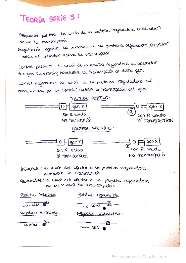 Miniatura del documento Serie-3.pdf