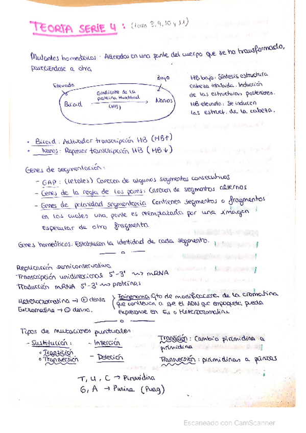 Miniatura del documento Series-4-y-5.pdf