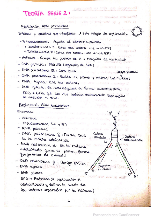 Miniatura del documento Serie-2.pdf