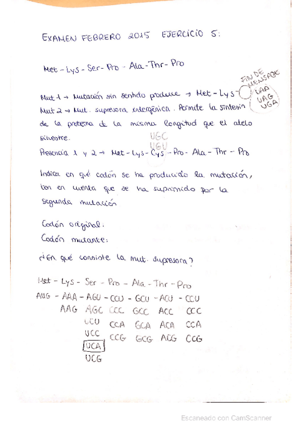 Miniatura del documento Problemas-de-Examenes-de-anos-anteriores-Genetica-I.pdf