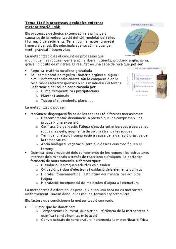 Miniatura del documento Geologia-Tema-11-Els-processos-geologics-externs-meteoritzacio-i-sol.docx