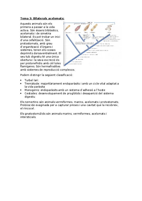 Miniatura del documento Zoologia-Tema-3-Bilaterals-acelomats.docx