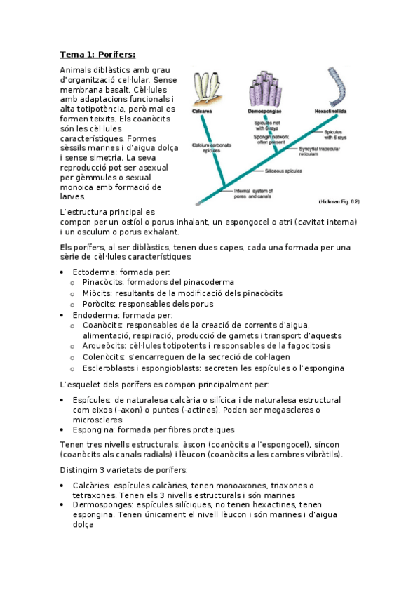 Miniatura del documento Zoologia-Tema-1-Porifers.docx
