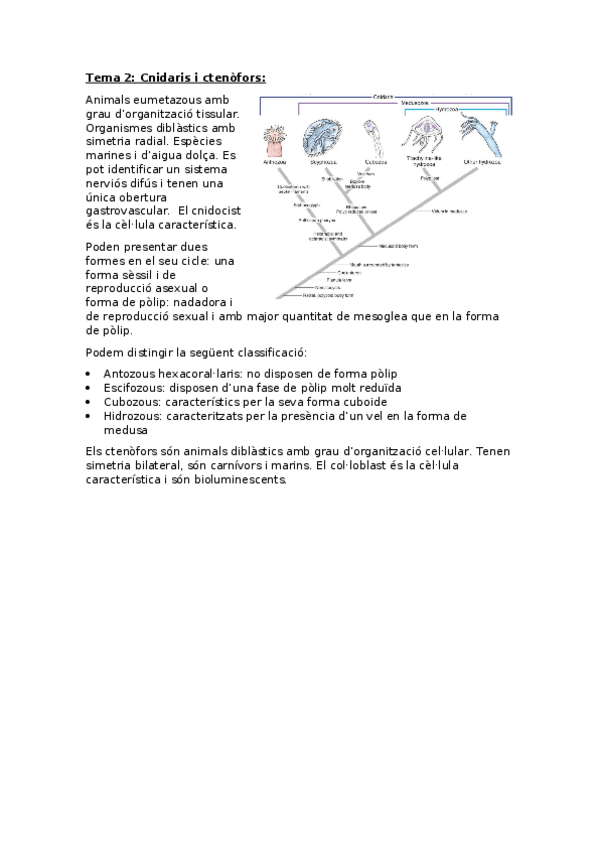 Miniatura del documento Zoologia-Tema-2-Cnidaris.docx