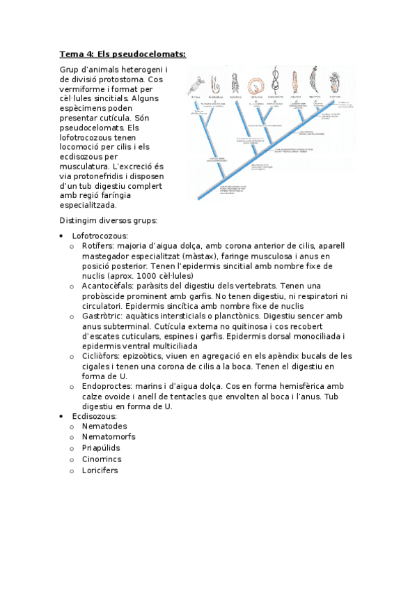 Miniatura del documento Zoologia-Tema-4-Pseudocelomats.docx