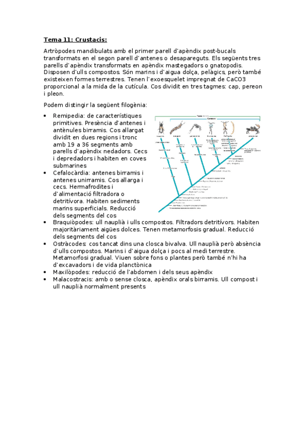 Miniatura del documento Zoologia-Tema-11-Crustacis.docx