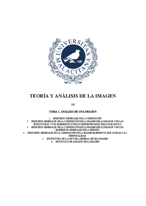 Miniatura del documento T1-TYA-GR.pdf