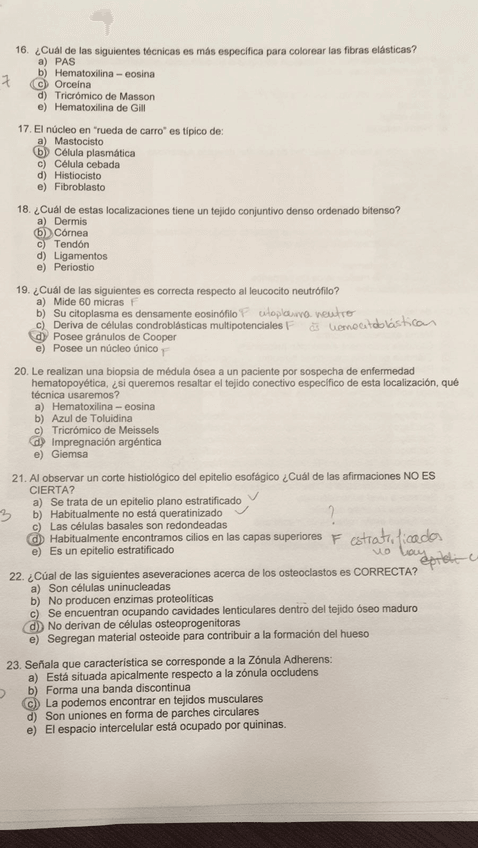 Miniatura del documento 2018-01-18-PHOTO-00000007.jpg