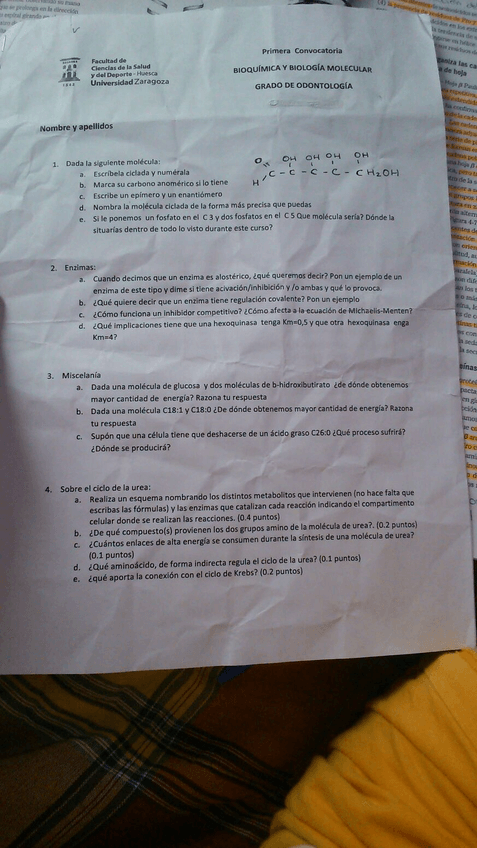 Miniatura del documento IMG-20170124-WA0001.jpg