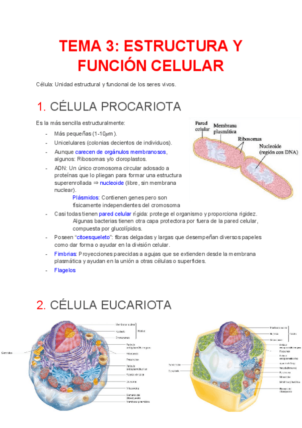 Miniatura del documento TEMA-3.pdf
