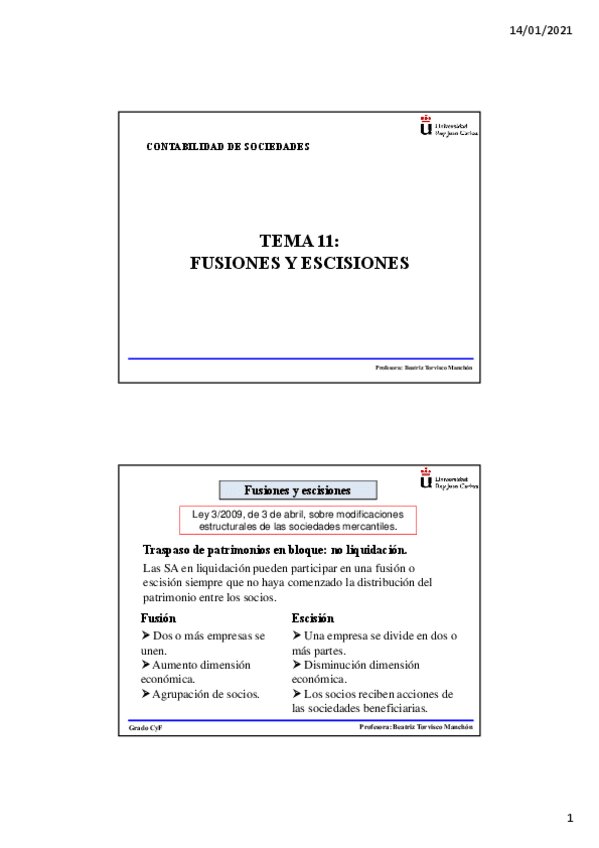 Miniatura del documento CONTABILIDAD-DE-SOCIEDADES-Tema-11.pdf