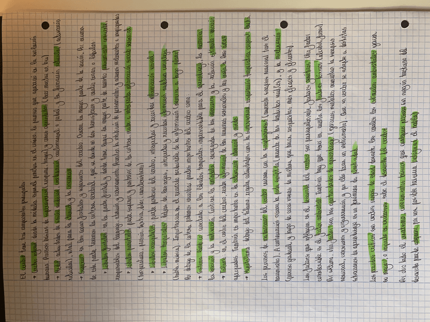 Miniatura del documento IMG-5092.jpg