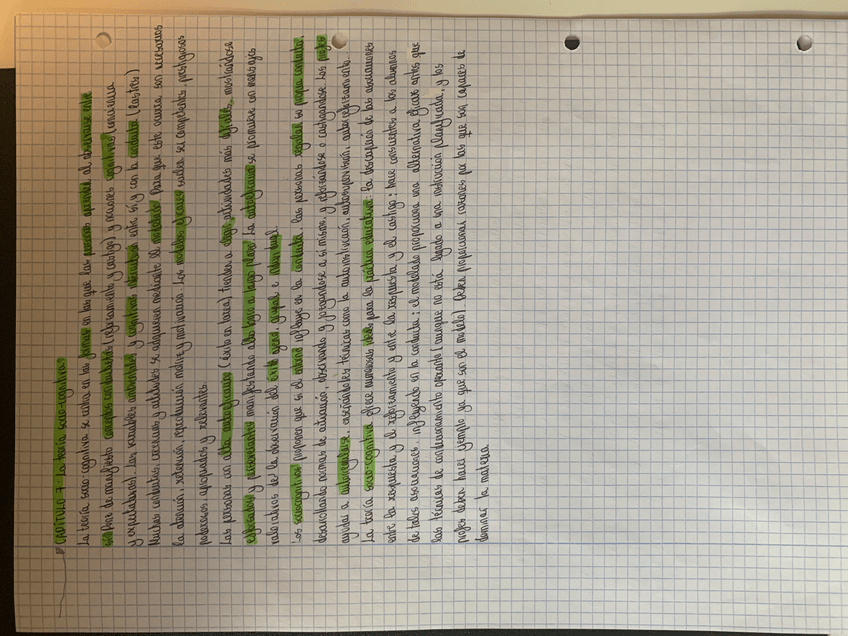 Miniatura del documento IMG-5094.jpg