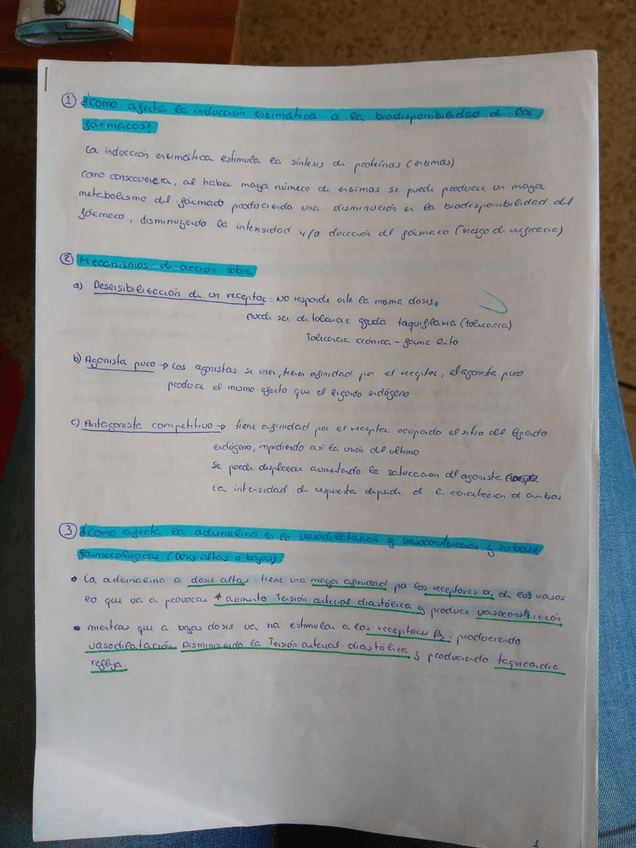 Miniatura del documento 12.jpg