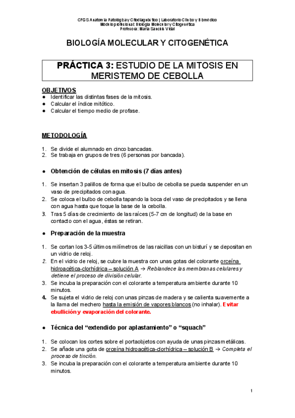 Miniatura del documento PRACTICA-3.pdf