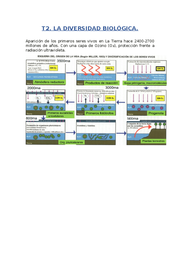 Miniatura del documento T2.docx