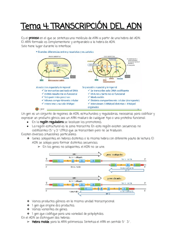 Miniatura del documento Tema-4.pdf