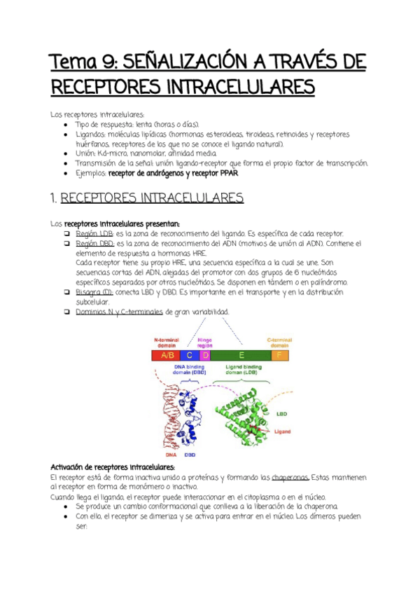 Miniatura del documento Tema-9-.pdf
