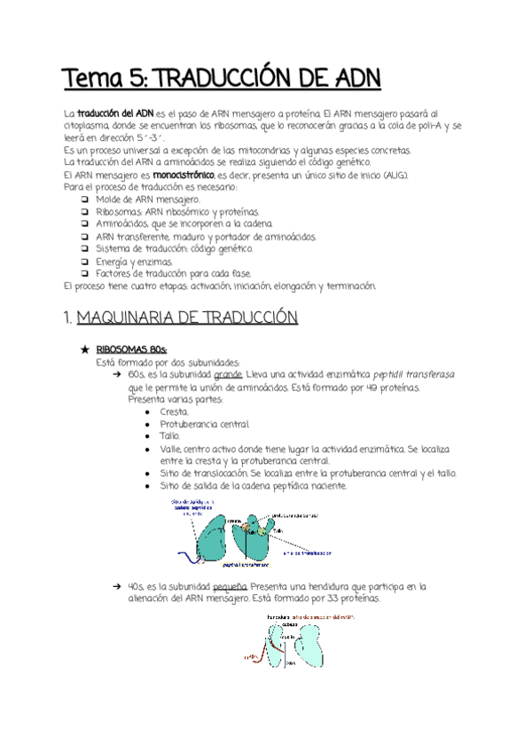 Miniatura del documento Tema-5.pdf
