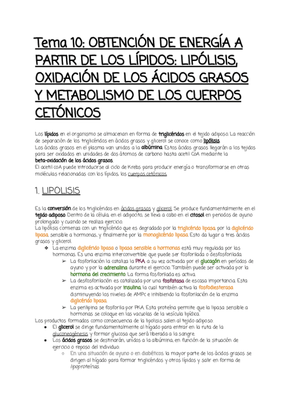 Miniatura del documento Tema-10.pdf