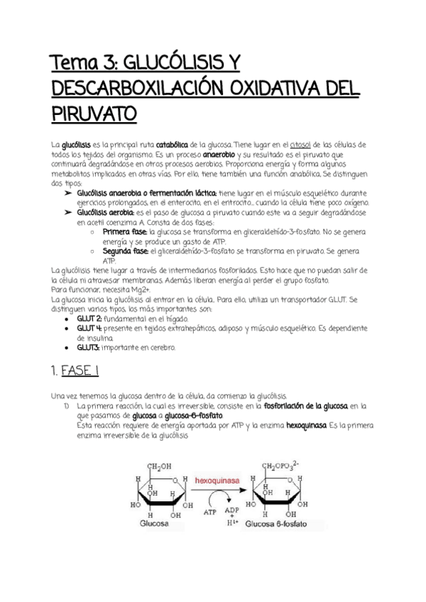 Miniatura del documento Tema-3.pdf