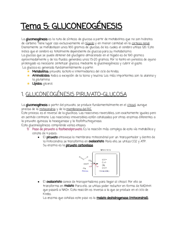 Miniatura del documento Tema-5.pdf
