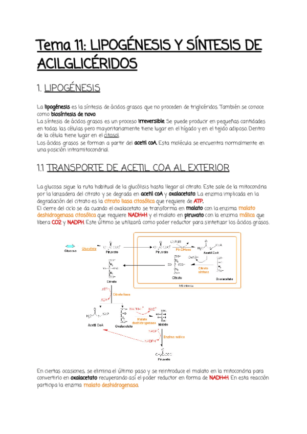 Miniatura del documento Tema-11.pdf
