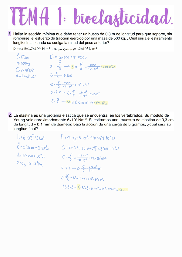 Miniatura del documento Tema 1. Bioelasticidad.pdf