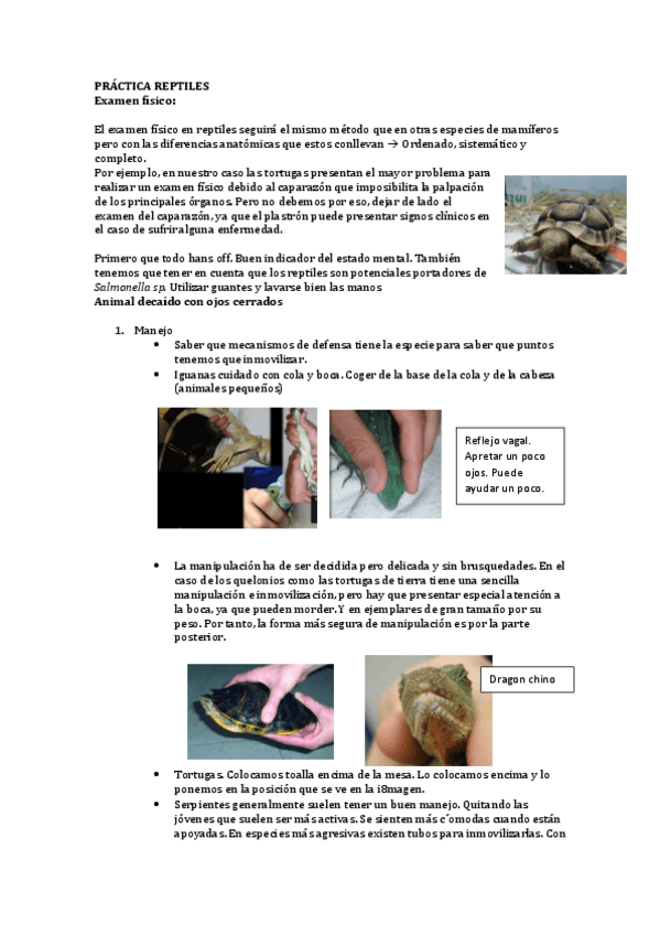 Miniatura del documento P.pdf