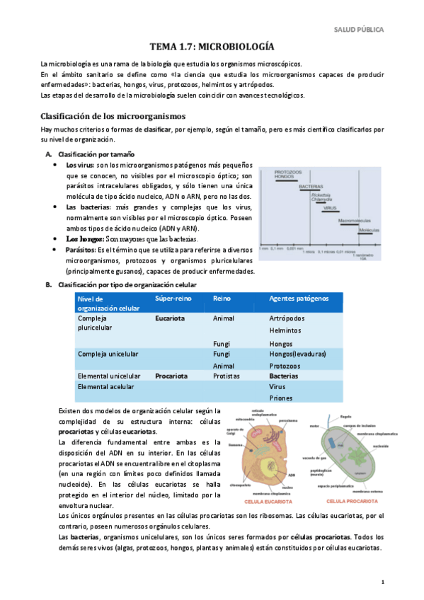 Miniatura del documento TEMA-1.pdf