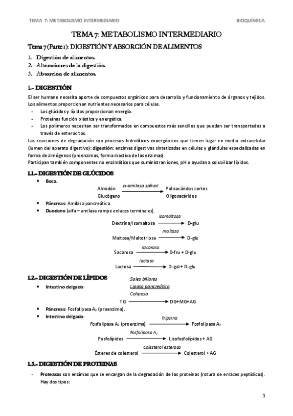 Miniatura del documento Tema-7Parte-1Digestion-y-absorcion-de-alimentos.pdf