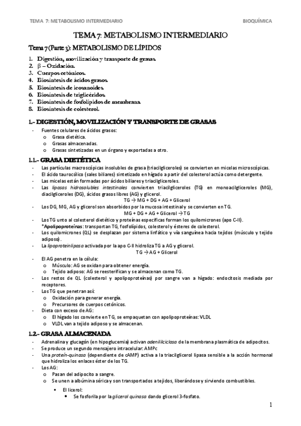 Miniatura del documento Tema-7.pdf