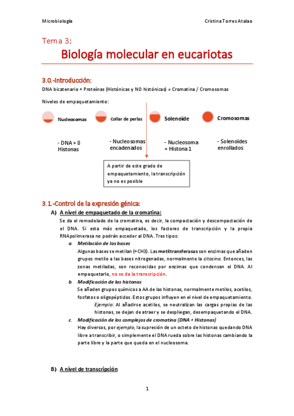 Miniatura del documento Tema-3-Microbiologia.pdf