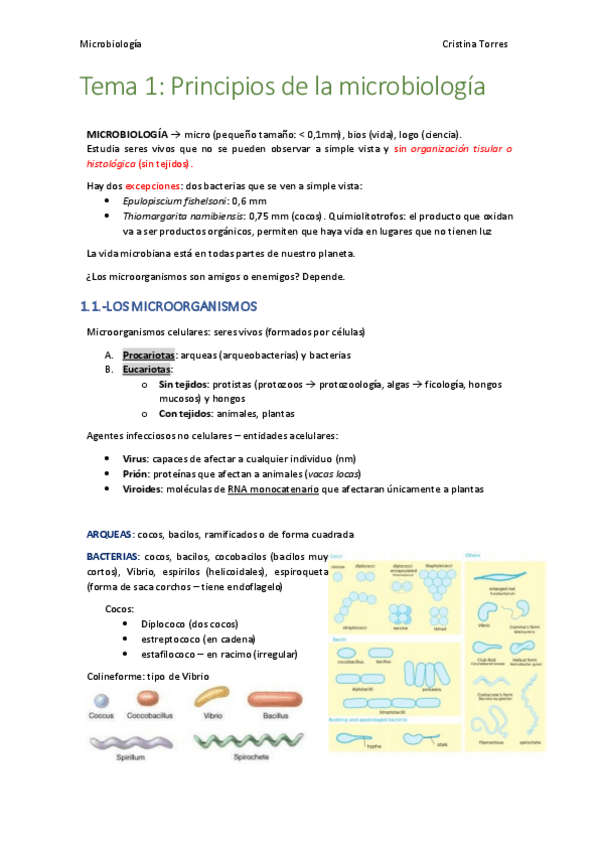 Miniatura del documento Tema-1-Microbiologia.pdf