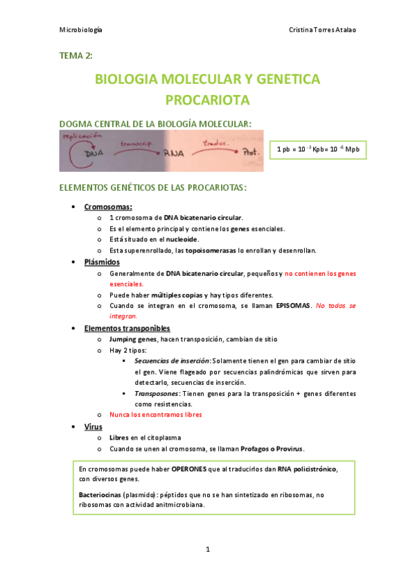 Miniatura del documento Tema-2-Microbiologia.pdf