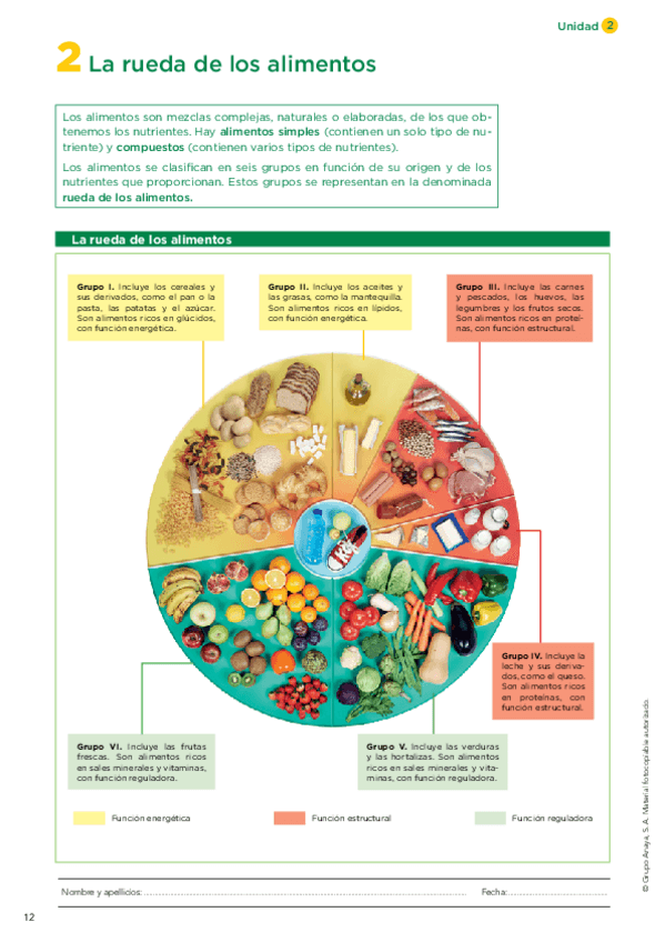 Miniatura del documento 2-La-Rueda-de-los-alimentos.pdf