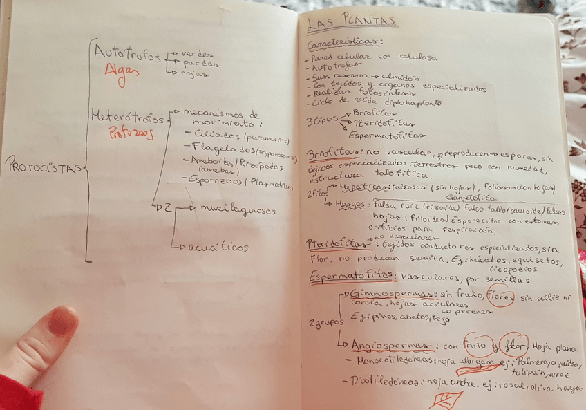 Miniatura del documento 20210127091551.jpg