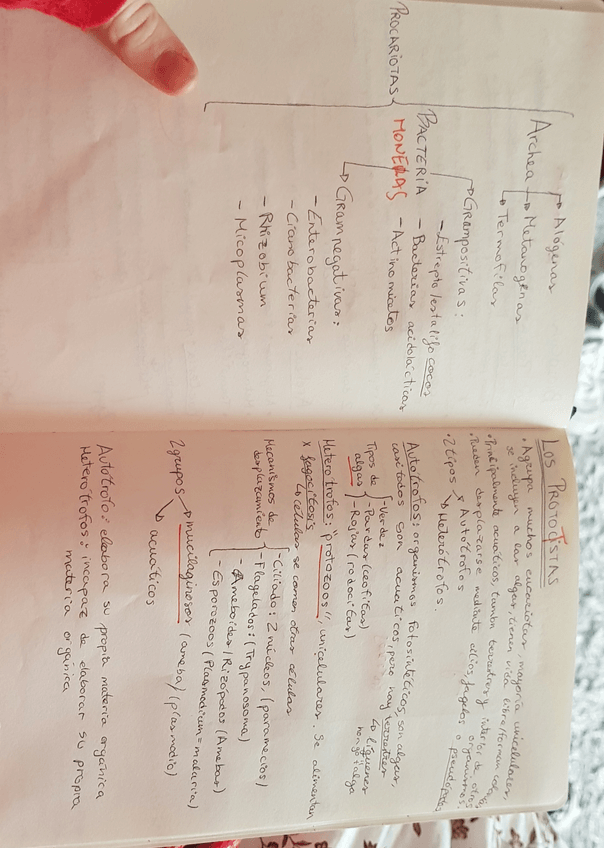 Miniatura del documento 20210127091531.jpg