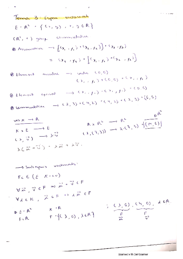 Miniatura del documento Espais-vectorials.pdf