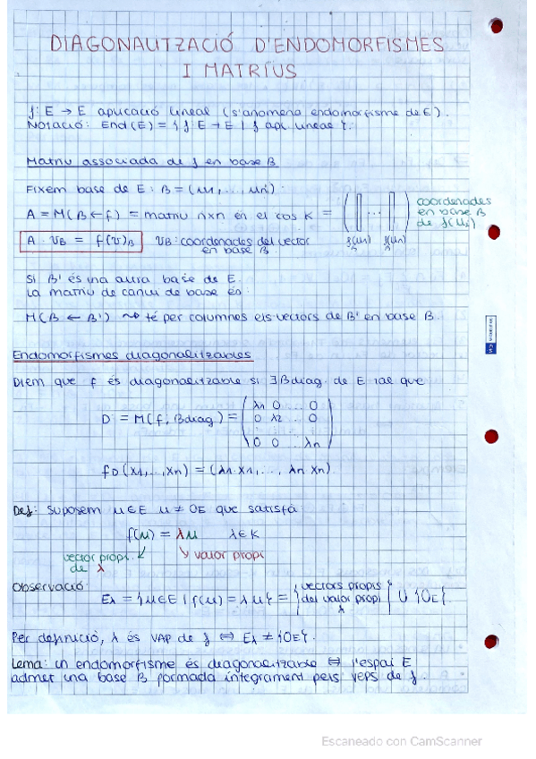 Miniatura del documento Diagonalitzacio-dEndomorfismes-i-Matriu.pdf